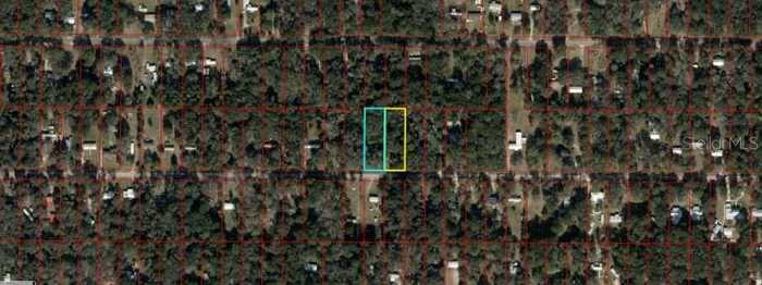 photo 6: 7451 & 7471 NW 167TH PLACE, TRENTON FL 32693