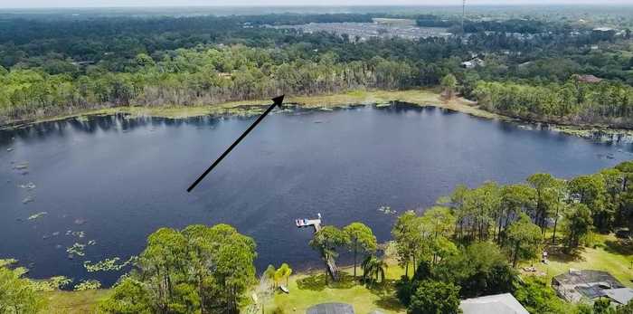 photo 1: 650 LAKE BUTLER AVENUE, OSTEEN FL 32764