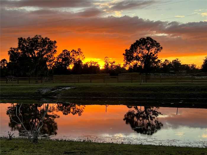 photo 54: 40610 STATE ROAD 64 E, MYAKKA CITY FL 34251