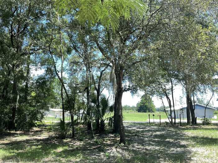 photo 41: 19790 SE 77TH PLACE, MORRISTON FL 32668