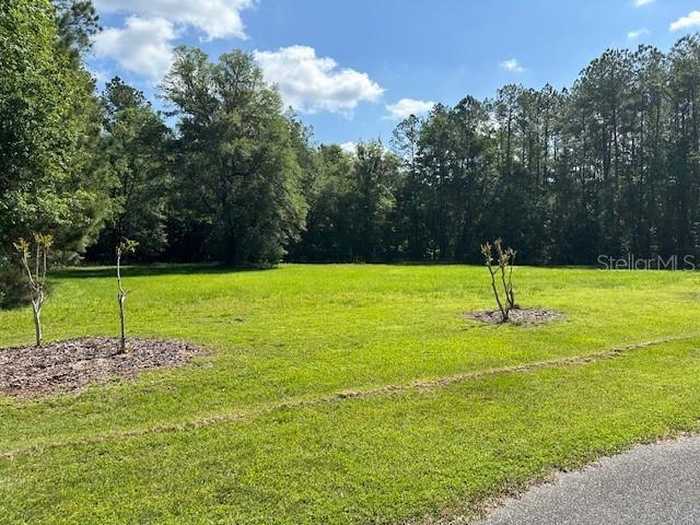 photo 3: Parcel 3 SW 128TH ROAD, WORTHINGTON SPRINGS FL 32697