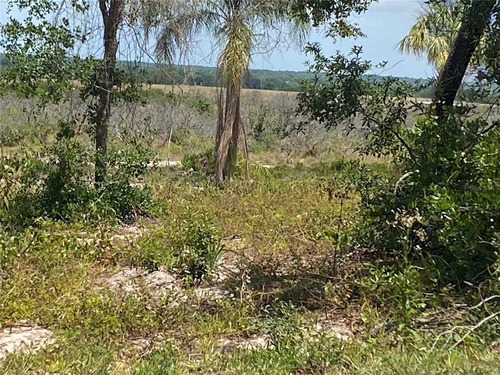 photo 1: MOUNTAIN DRIVE, BABSON PARK FL 33827