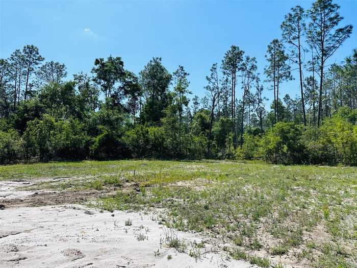 photo 2: 9809 CR 136 WEST W, LIVE OAK FL 32060