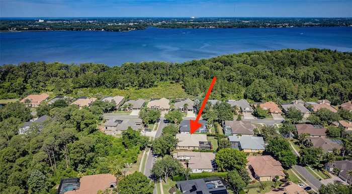 photo 53: 3675 JANUS WAY, PALM HARBOR FL 34685