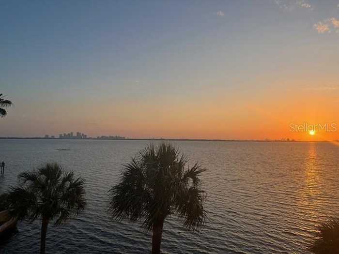 photo 41: 4950 BAYSHORE BOULEVARD Unit 22, TAMPA FL 33611