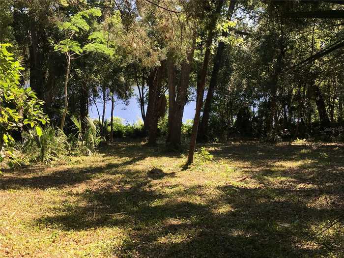 photo 2: VISTA STREET, LAKE HELEN FL 32744