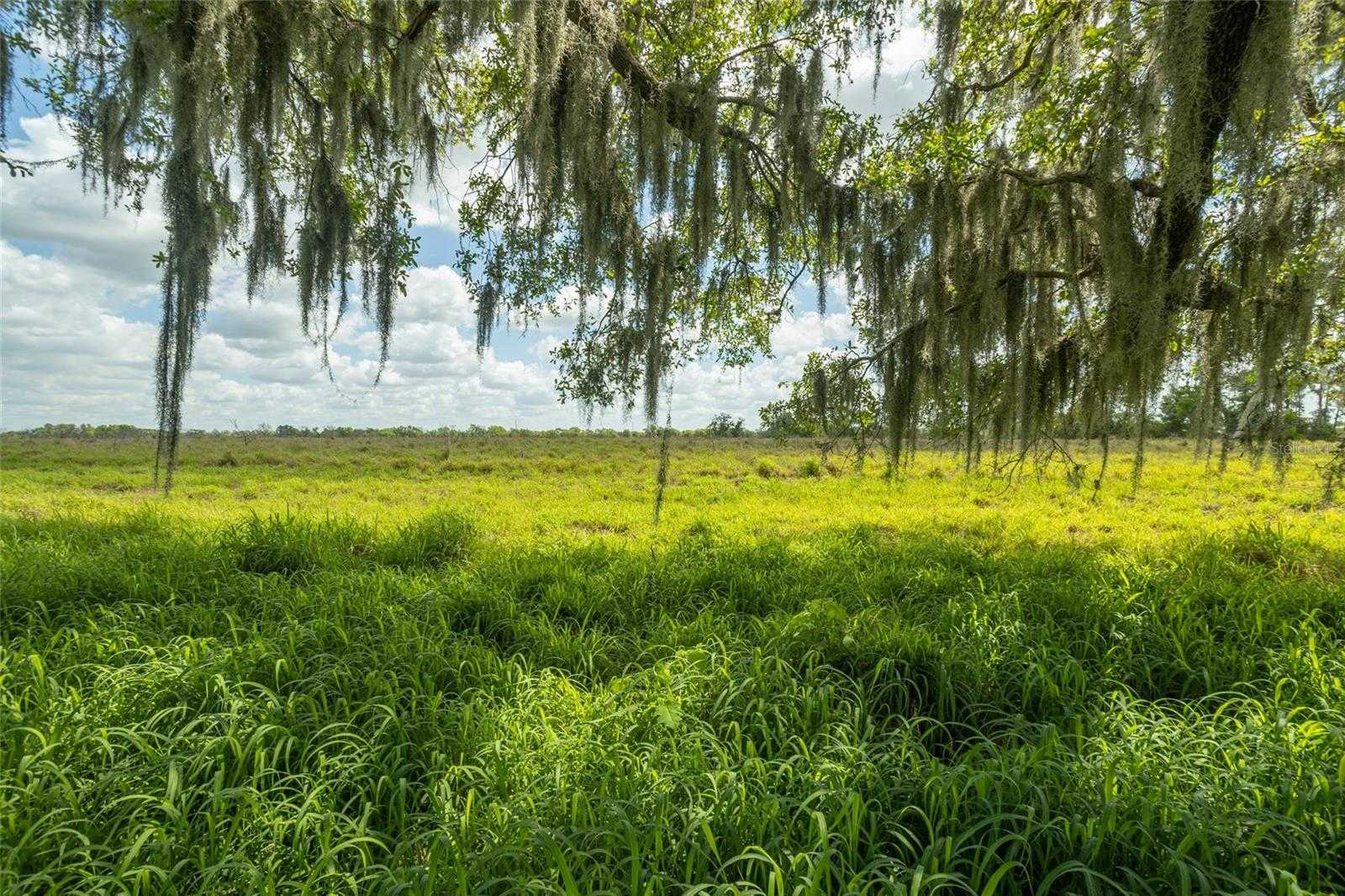 photo 2: 26315 SR-64 E, MYAKKA CITY FL 34251