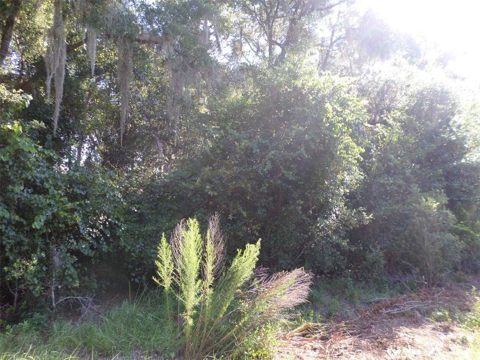 photo 2: W. HIGHWAY 40, DUNNELLON FL 34431