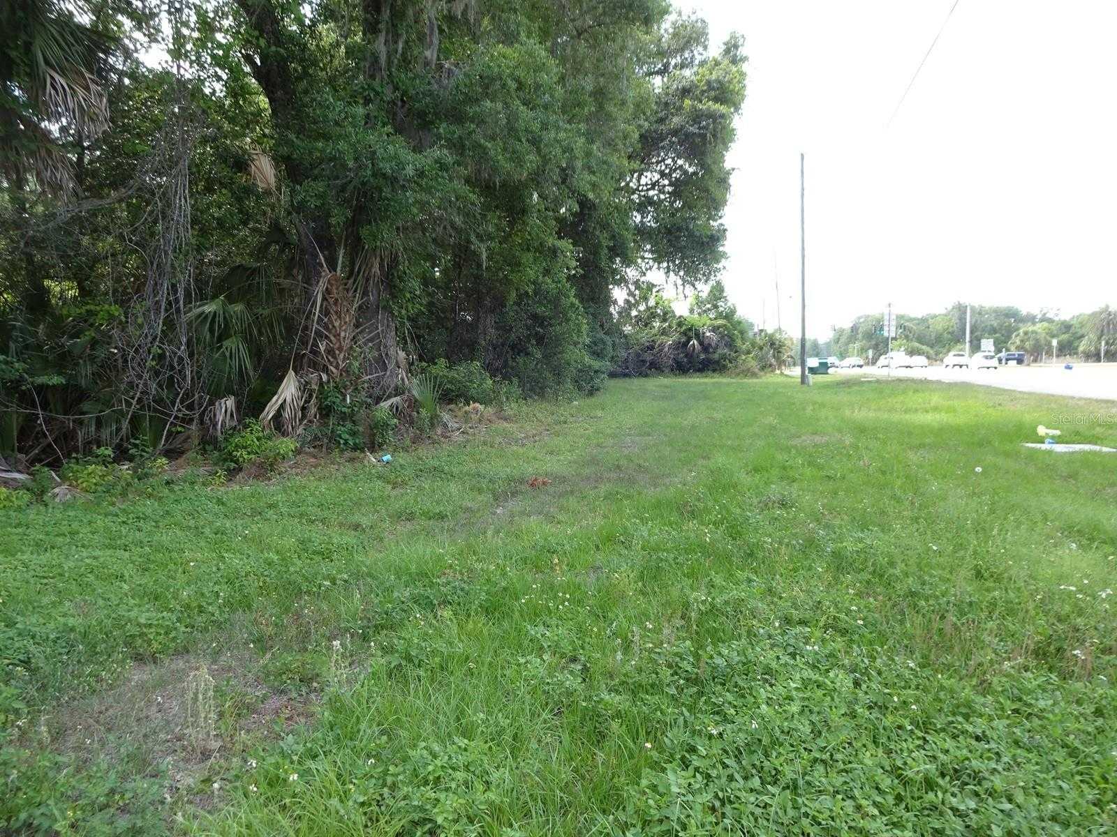 photo 3: US-17, PIERSON FL 32180