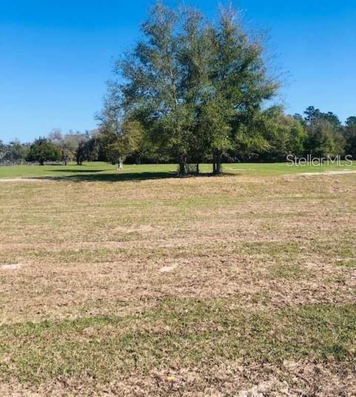 photo 3: NW 145TH AVENUE, LOT 1, MORRISTON FL 32668