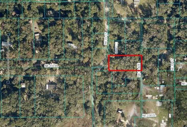 photo 1: NE 31ST AVE, CITRA FL 32113