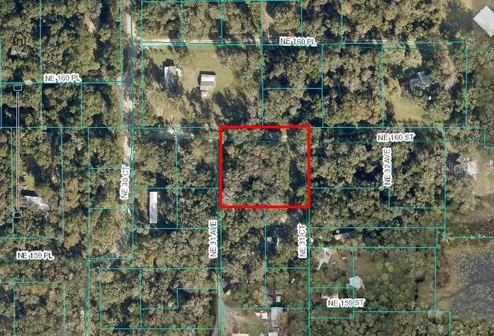 photo 1: NE 160TH STREET, CITRA FL 32113