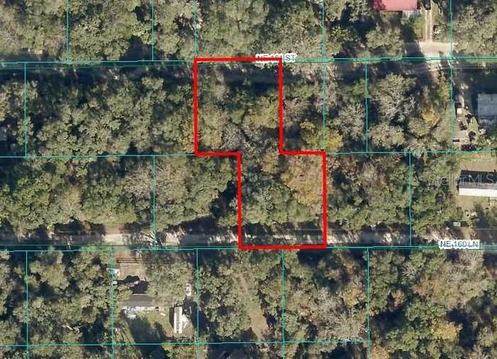 photo 1: 3153 NE 160TH LANE, CITRA FL 32113