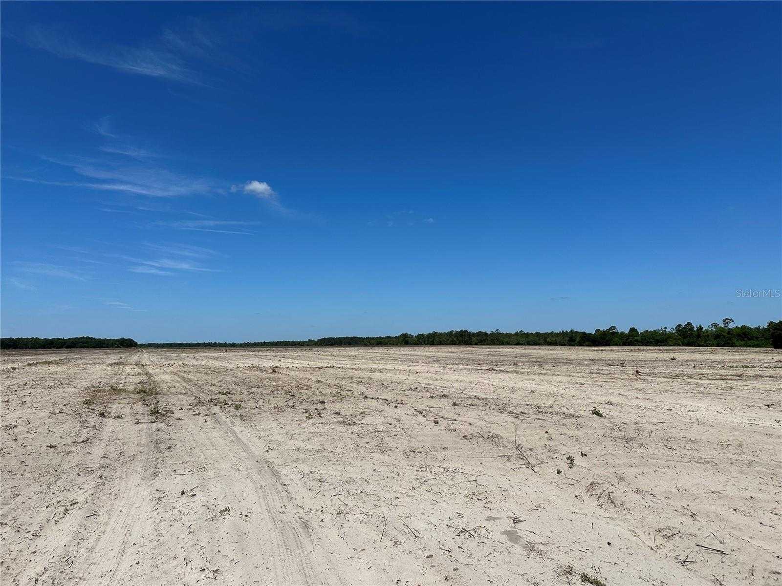 photo 3: 114.5ac NE 85TH AVE RD, CITRA FL 32113