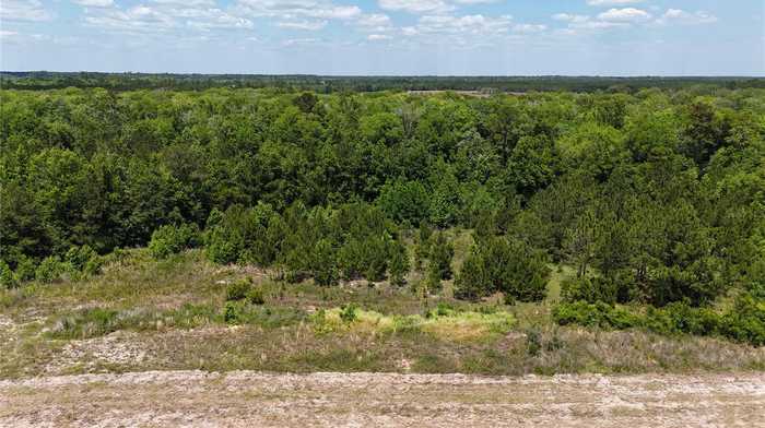 photo 6: 114.5ac NE 85TH AVE RD, CITRA FL 32113