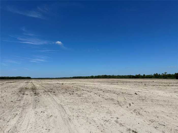 photo 2: 101ac NE 85TH AVE RD, CITRA FL 32113