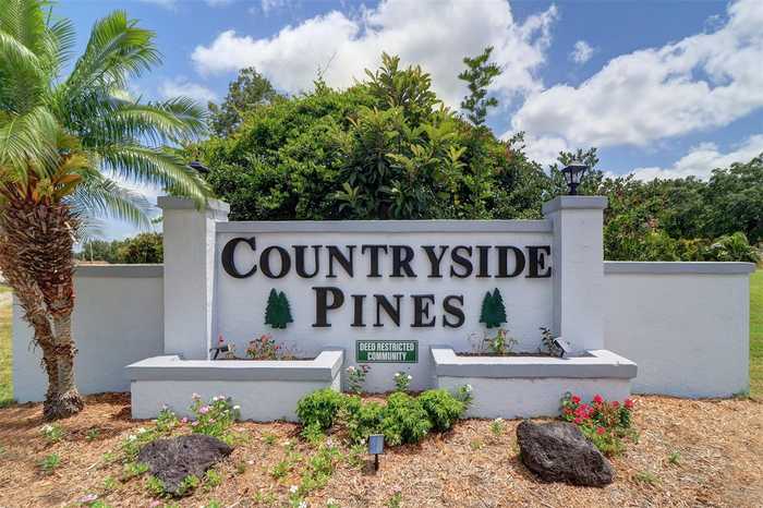 photo 26: 2508 COUNTRYSIDE PINES DRIVE, CLEARWATER FL 33761