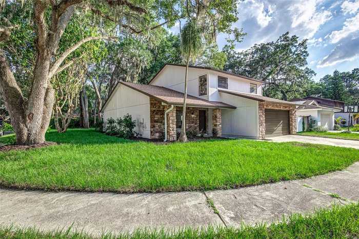 photo 1: 14842 OAK VINE DRIVE, LUTZ FL 33559