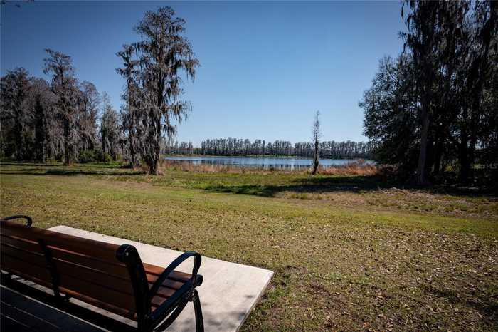 photo 85: 3831 EVERGREEN OAKS DRIVE, LUTZ FL 33558