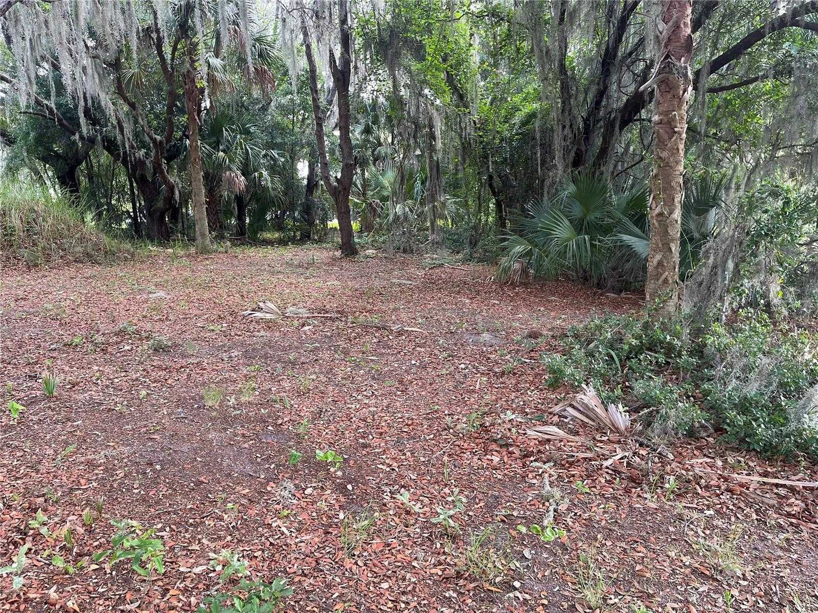 photo 2: 24216 BEAR DEN DRIVE, EUSTIS FL 32736