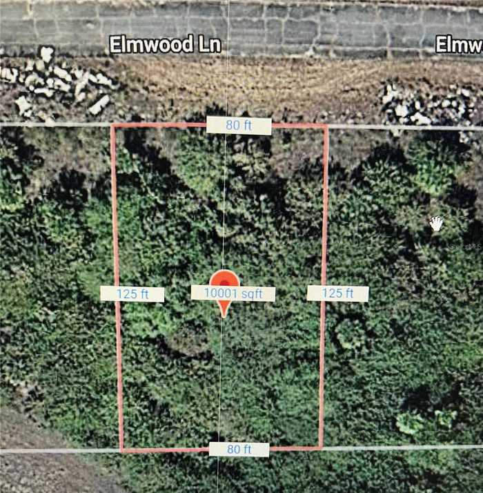 photo 2: 216 ELMWOOD STREET, LABELLE FL 33935