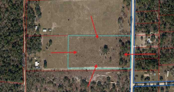 photo 26: 1350 NE 120TH AVENUE, WILLISTON FL 32696