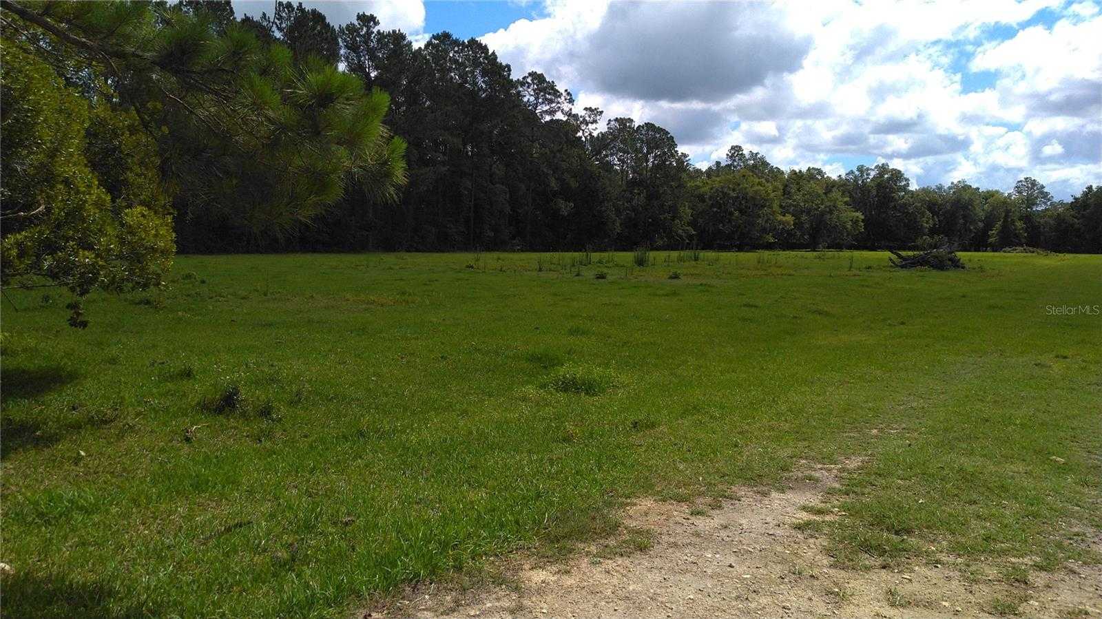 photo 3: 19517 NW 91 STREET, ALACHUA FL 32615