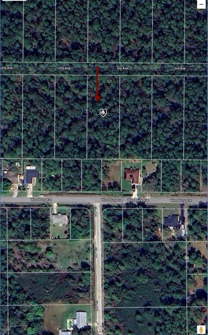 photo 2: 1241 IRIS AVENUE, SEBRING FL 33875