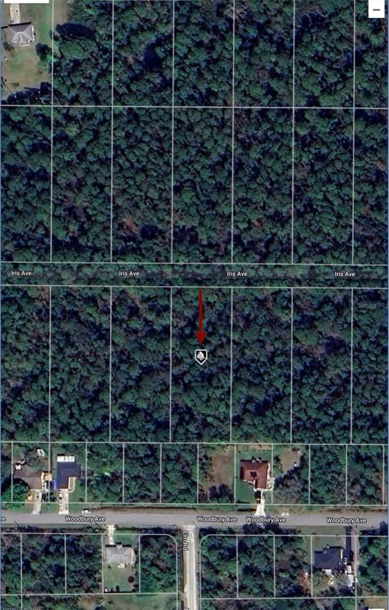 photo 3: 1241 IRIS AVENUE, SEBRING FL 33875