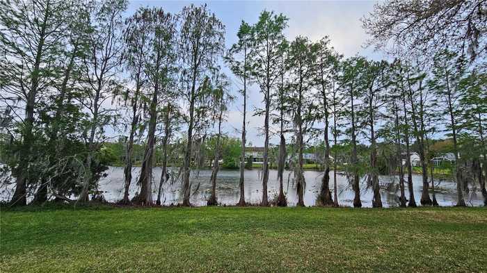 photo 37: 1756 BRANCHWATER TRAIL, ORLANDO FL 32825