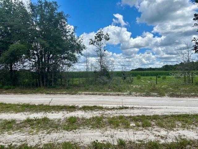 photo 2: NW 12TH COURT, BELL FL 32619