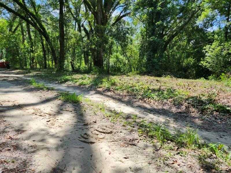 photo 2: 147TH ROAD, LIVE OAK FL 32060