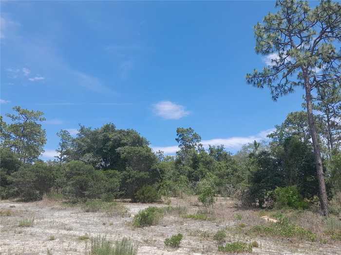 photo 1: 2211 SE STATE ROAD 121, MORRISTON FL 32668