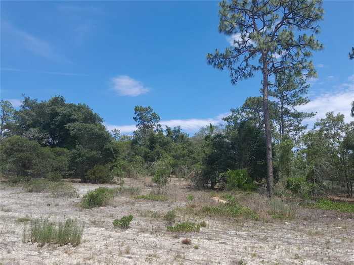 photo 2: 2211 SE STATE ROAD 121, MORRISTON FL 32668