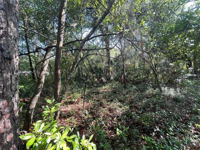 photo 3: Lot 16 NW 56 PLACE, CHIEFLAND FL 32626