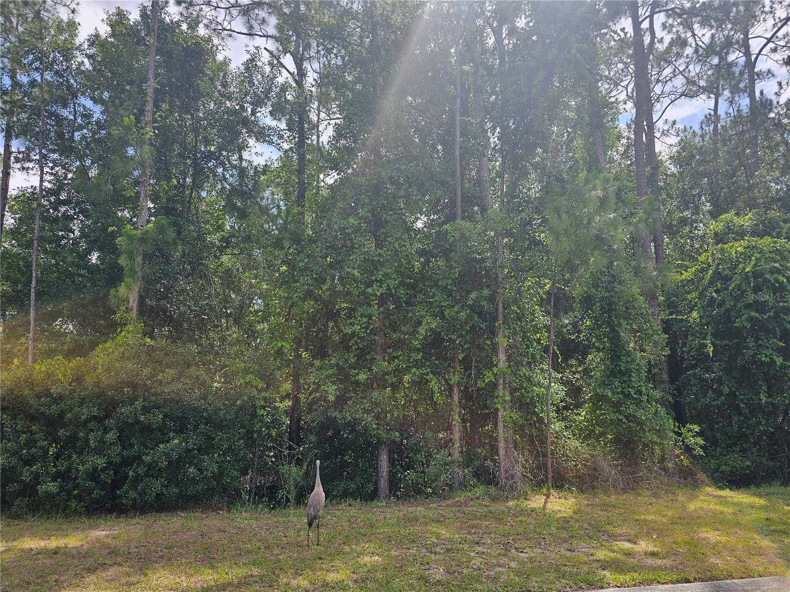 photo 2: ARBOR GLEN COURT, ORLANDO FL 32832