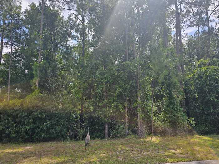 photo 2: ARBOR GLEN COURT, ORLANDO FL 32832