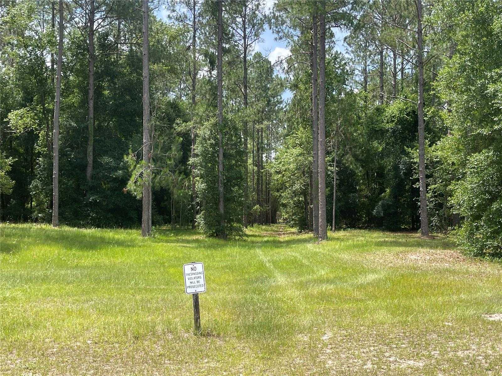 photo 1: 24102 GREENWOOD CROSSING, EUSTIS FL 32736