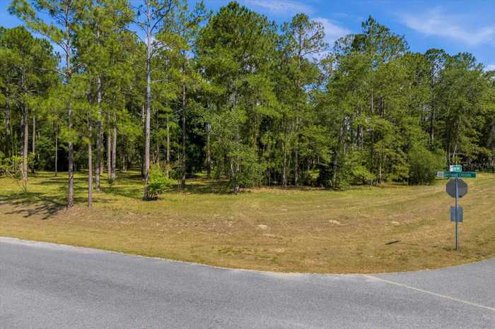 photo 2: 24102 GREENWOOD CROSSING, EUSTIS FL 32736