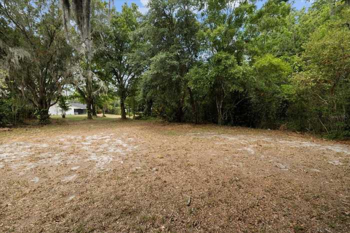 photo 69: 1007 HASTINGS COURT, LUTZ FL 33548