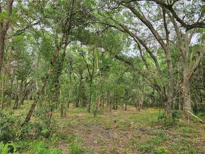 photo 11: 3.5 Acres PROSPECT ROAD, DADE CITY FL 33525