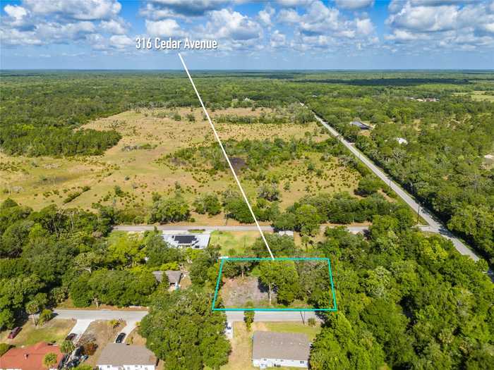 photo 1: 316 CEDAR AVENUE, OAK HILL FL 32759