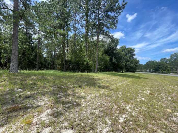 photo 1: 24120 GREENWOOD CROSSING, EUSTIS FL 32736