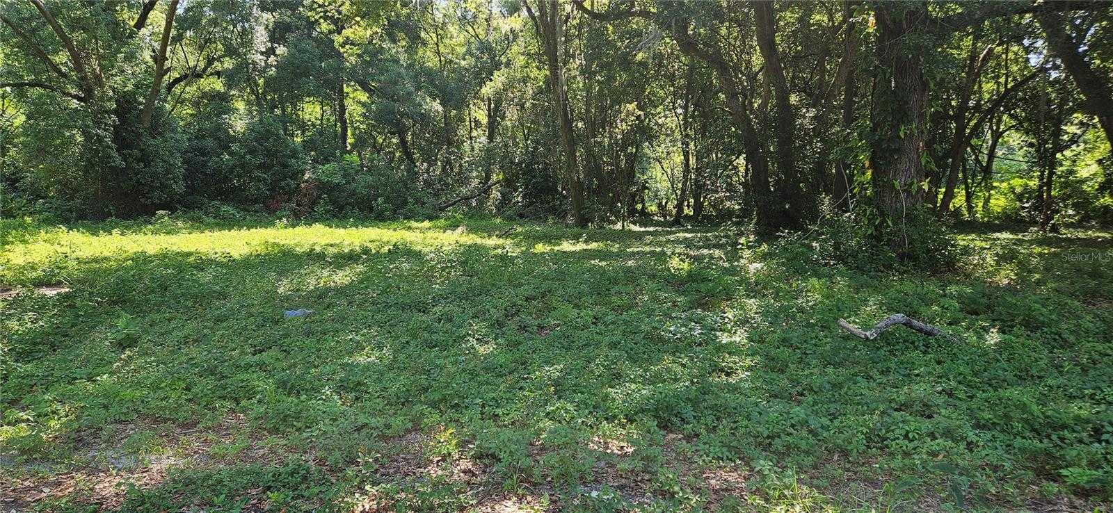 photo 1: TBD NW 19 AVENUE, OCALA FL 34475