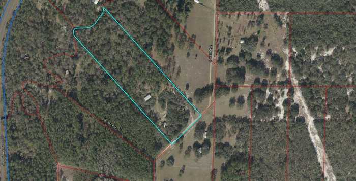 photo 2: 3690 SE 54TH AVENUE, MORRISTON FL 32668