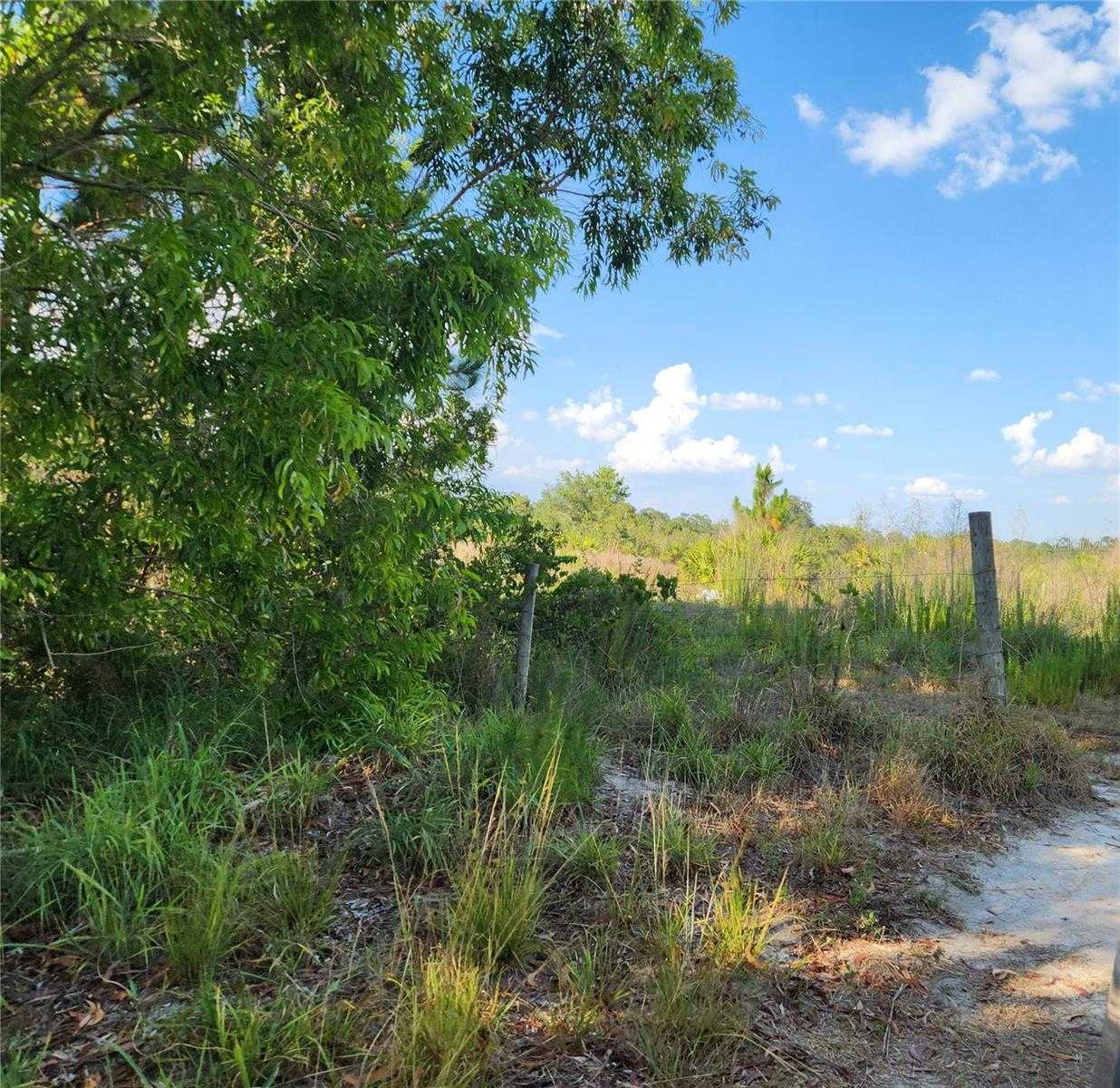 photo 3: W FROSTPROOF ROAD, FROSTPROOF FL 33843