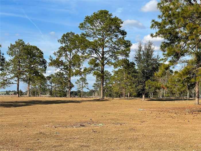 photo 1: 219TH AVENUE, MORRISTON FL 32668