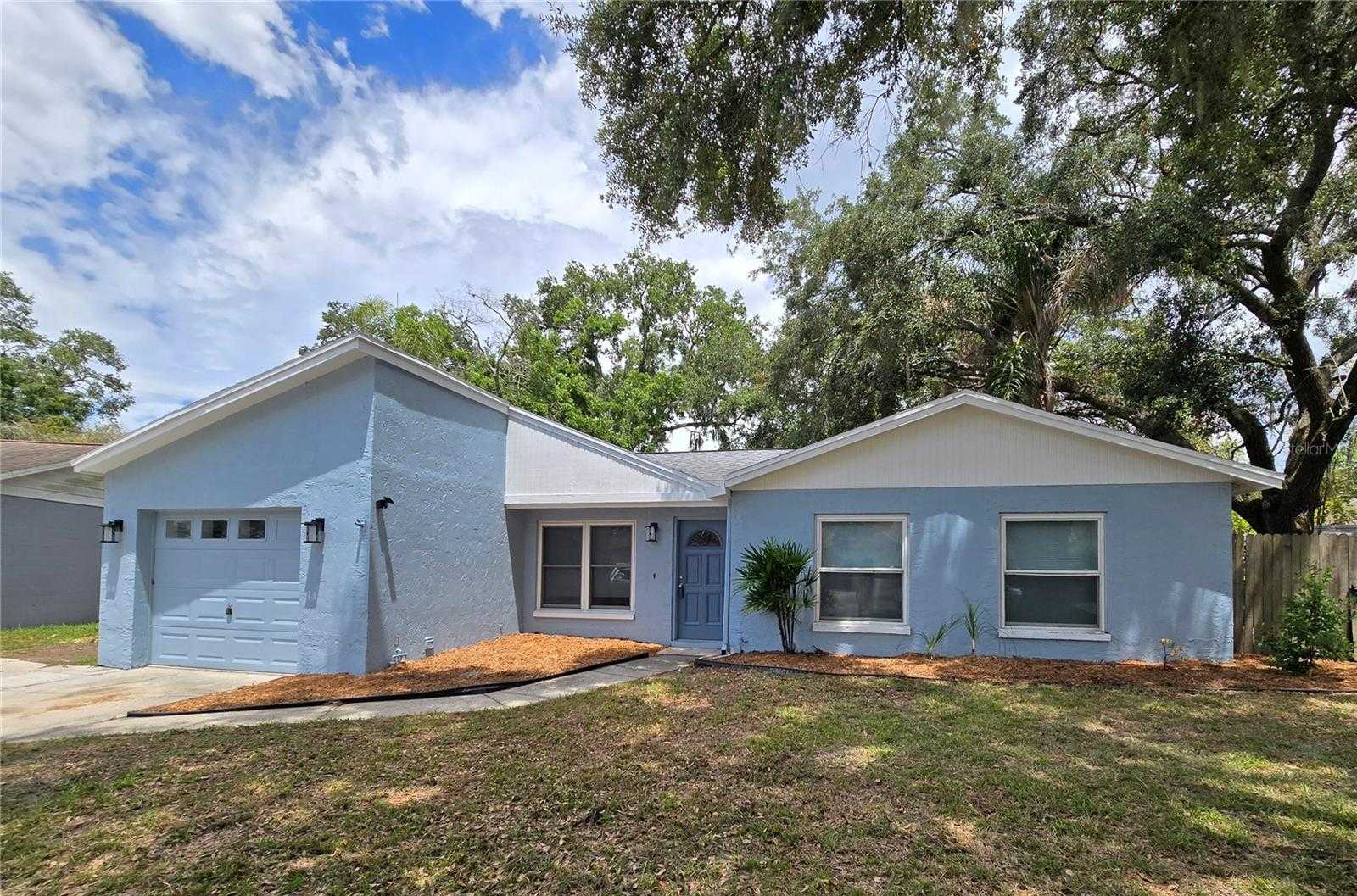 photo 1: 1053 KIT COURT, LUTZ FL 33549