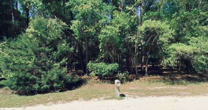 photo 7: NE 46TH CIRCLE, HIGH SPRINGS FL 32643