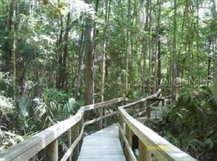 photo 7: TBD SW 194TH AVENUE, DUNNELLON FL 34432